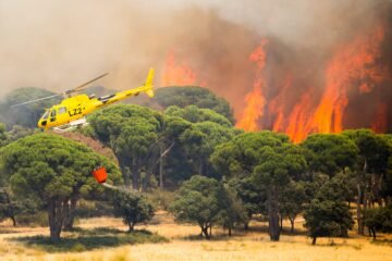 Los incendios forestales – 26 de julio de 2026 | Marlaska: “Estamos enfrentando el incendio más importante y agresivo de la historia de España”