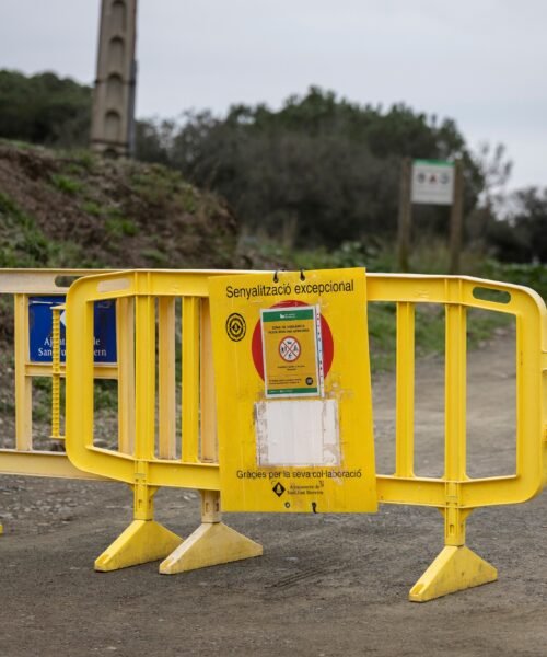 La peste porcina obliga a la Matagalls-Montserrat a terminar en Matadepera