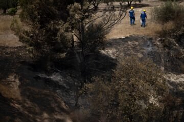 Última gran batida en Los Gallardos: cien operativos barren 217 hectáreas quemadas en busca de vida o muerte