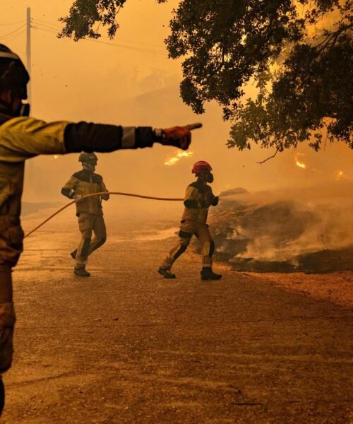 Los incendios de Madrid, Ávila y Toledo afectan ya a 77.000 hectáreas