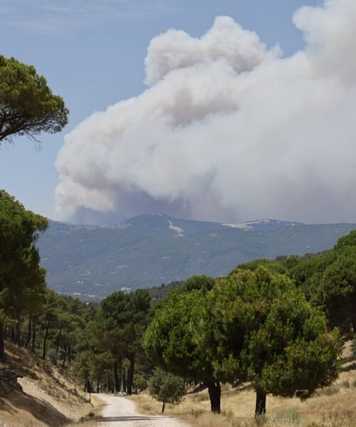 Última hora de los incendios forestales, en directo | Ayuso avisa de que las próximas horas serán “muy complicadas” en el incendio de Villa del Prado