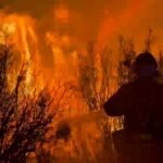 Última hora de los incendios forestales, en directo | Tres incendios activos queman casi 15.000 hectáreas en Zaragoza, Guadalajara y la Comunidad de Madrid