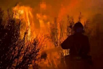 Última hora de los incendios forestales, en directo | Tres incendios activos queman casi 15.000 hectáreas en Zaragoza, Guadalajara y la Comunidad de Madrid