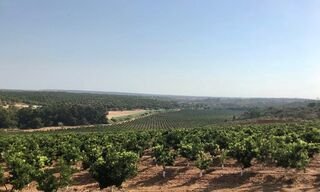La Unión pide «transparencia» a Junta en inversión de 20M€ en regadío de Tierra de Barros