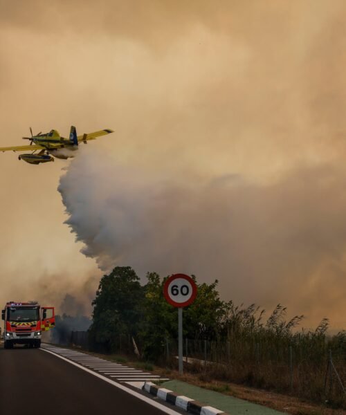 Más de 160 desalojados por el incendio de El Saler, en Valencia, pasan la noche en un pabellón reconvertido en albergue