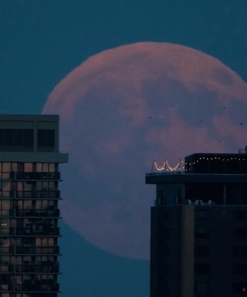 El eclipse parcial de Luna, en imágenes