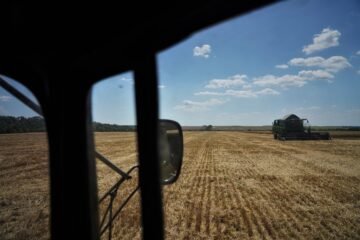 La guerra del grano vuelve al mar Negro: Rusia bloquea las exportaciones de Ucrania y amenaza la próxima cosecha