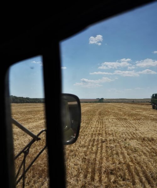 La guerra del grano vuelve al mar Negro: Rusia bloquea las exportaciones de Ucrania y amenaza la próxima cosecha