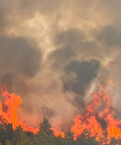 Los bomberos se afanan en que las llamas del incendio de Segorbe no alcancen el municipio de Gátova