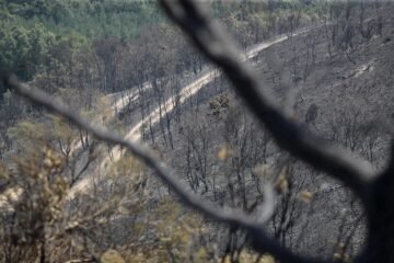 Detenido un hombre con antecedentes por provocar un incendio en León