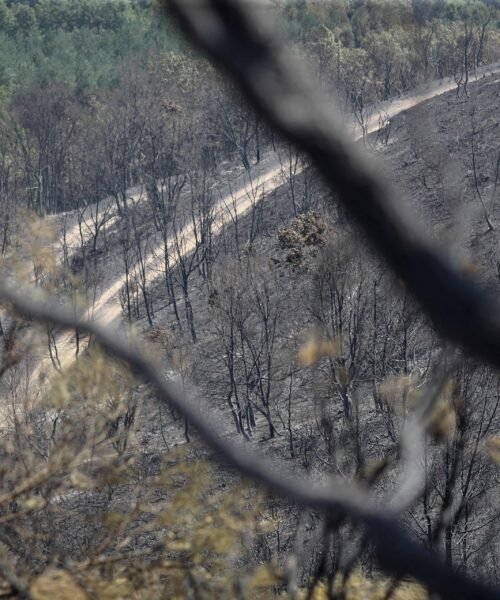 Detenido un hombre con antecedentes por provocar un incendio en León