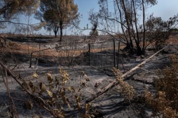 El fuego en Huelva continúa su avance y se acerca a Aznalcóllar tras afectar a más de 38.000 hectáreas