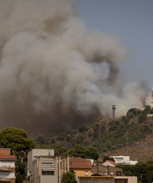 Los Bomberos trabajan en un incendio en el parque de Collserola (Barcelona)