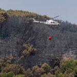 Incendios: la prevención es la clave