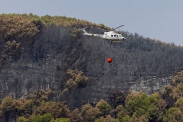 Incendios: la prevención es la clave