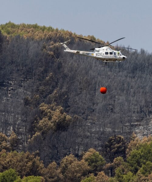 Incendios: la prevención es la clave