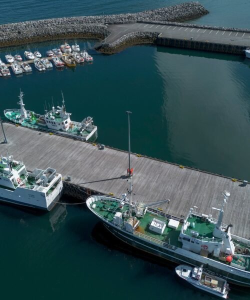 La pesca, la principal barrera entre Islandia y la Unión Europea