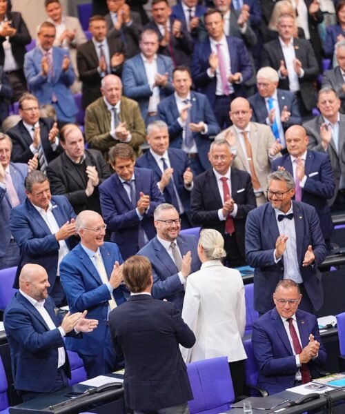 ¿Qué hace de AfD una amenaza para la democracia en Alemania?