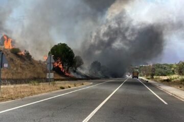 Ayuso proyecta llevar la M-501 como autovía hasta Ávila pese a que cruza tres zonas protegidas