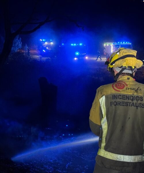 La lluvia caída de madrugada ayuda en la extinción del incendio de Santa María de la Alameda
